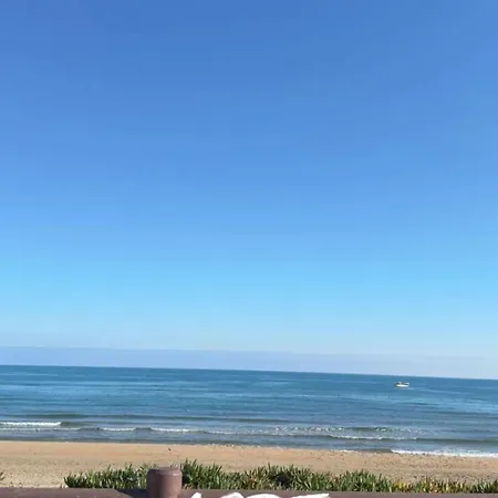 Apartamento 28 M² Piscine Agde